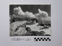 藏品(黃則修攝野柳地景)的圖片