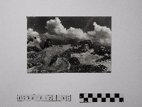 藏品(黃則修攝野柳地景)的圖片