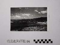 藏品(黃則修攝野柳地景)的圖片