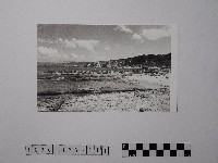 藏品(黃則修攝野柳地景)的圖片