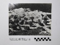 藏品(黃則修攝野柳地景)的圖片