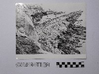藏品(黃則修攝野柳地景)的圖片