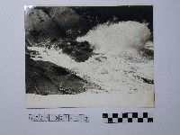 藏品(黃則修攝野柳地景)的圖片