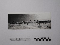 藏品(黃則修攝野柳地景)的圖片