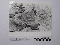 藏品(黃則修攝野柳地景)的圖片