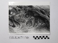 藏品(黃則修攝野柳地景)的圖片