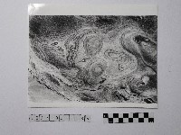 藏品(黃則修攝野柳地景)的圖片