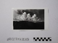 藏品(黃則修攝野柳地景)的圖片