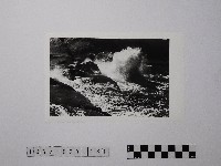 藏品(黃則修攝野柳地景)的圖片