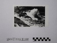 藏品(黃則修攝野柳地景)的圖片