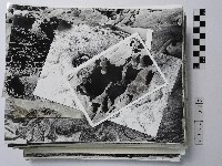 藏品(黃則修攝野柳地景系列照片)的圖片