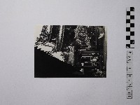 藏品(黃則修攝人群)的圖片