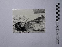 藏品(黃則修攝大尊神像)的圖片