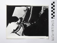 藏品(黃則修攝屋簷側拍照片)的圖片