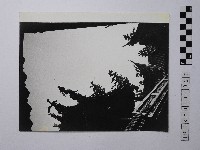 藏品(黃則修攝屋頂)的圖片