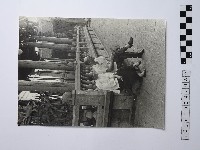 藏品(黃則修攝男女合影照)的圖片