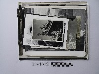 藏品(黃則修攝龍山寺系列照片)的圖片