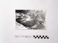 藏品(黃則修攝野柳地景燭臺石)的圖片