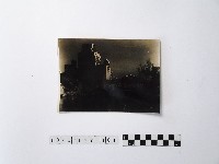 藏品(黃則修攝大安公園)的圖片