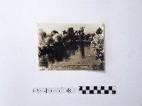 藏品(黃則修攝大安公園)的圖片