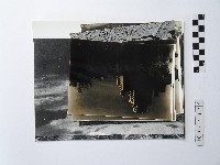 藏品(黃則修攝舞龍舞獅及福佑宮系列照片)的圖片