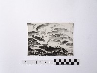 藏品(黃則修攝魚群水中優游)的圖片