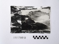 藏品(黃則修攝魚群水中優游系列照片)的圖片