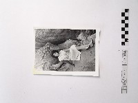 藏品(黃則修攝野柳的稀客－凌波)的圖片