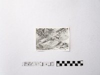 藏品(黃則修攝野柳地景)的圖片