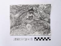 藏品(黃則修攝野柳地景)的圖片