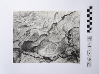 藏品(黃則修攝野柳地景樂園福德公)的圖片