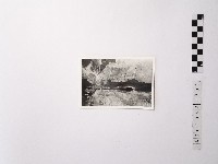 藏品(黃則修攝野柳地景)的圖片