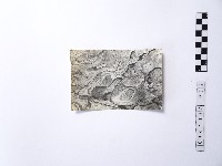 藏品(黃則修攝野柳地景樂園福德公)的圖片