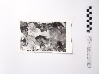 藏品(黃則修攝野柳地景)的圖片