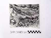 藏品(黃則修攝野柳地景)的圖片