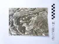 藏品(黃則修攝野柳地景)的圖片