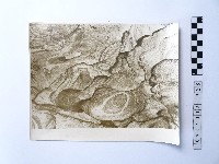藏品(黃則修攝野柳地景樂園福德公)的圖片
