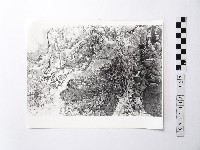 藏品(黃則修攝野柳地景)的圖片