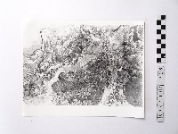 藏品(黃則修攝野柳地景)的圖片