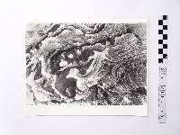 藏品(黃則修攝野柳地景)的圖片