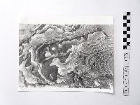 藏品(黃則修攝野柳地景)的圖片