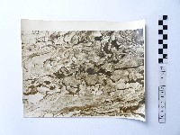 藏品(黃則修攝野柳地景)的圖片