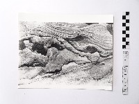 藏品(黃則修攝野柳地景)的圖片