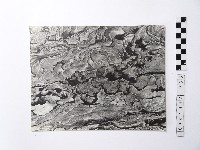 藏品(黃則修攝野柳地景)的圖片