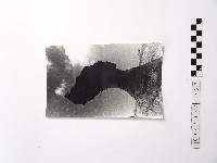 藏品(黃則修攝野柳地景女王頭)的圖片