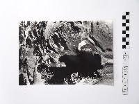 藏品(黃則修攝野柳地景)的圖片