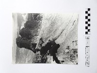 藏品(黃則修攝野柳地景)的圖片