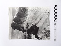 藏品(黃則修攝野柳地景)的圖片