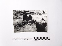 藏品(黃則修攝野柳地景)的圖片