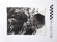 藏品(黃則修攝野柳地景蜂窩岩)的圖片